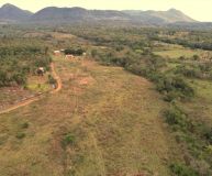 Farm for sale with 166 hectares - 13129